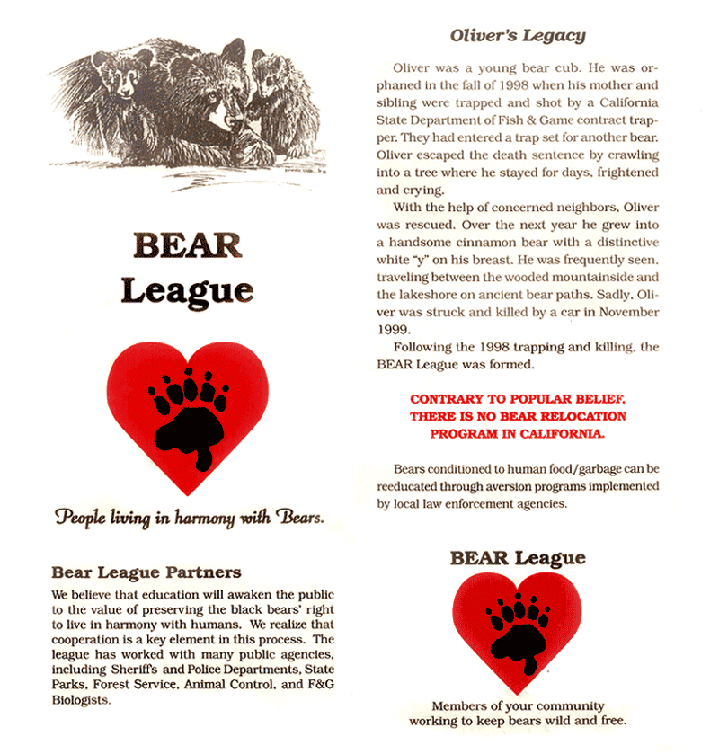 BEAR League brochure