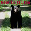 Bear Tic Tac Toe