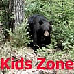 Kids Zone button link