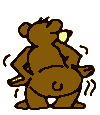 Confused bear