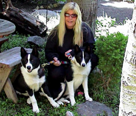 ann's karelian bear dogs