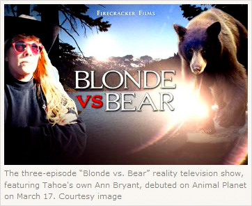 Blonde vs. Bear pic