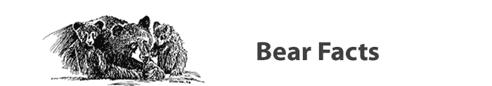 Bear Facts