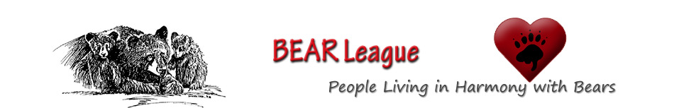 BEAR League header-logo
